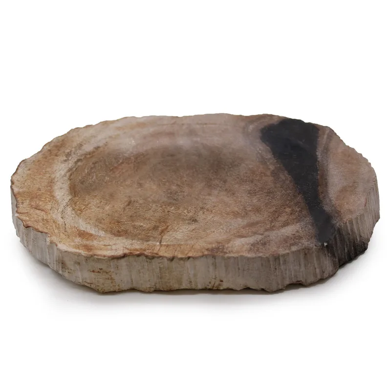 Petrified Legno Nero Sapone Dish