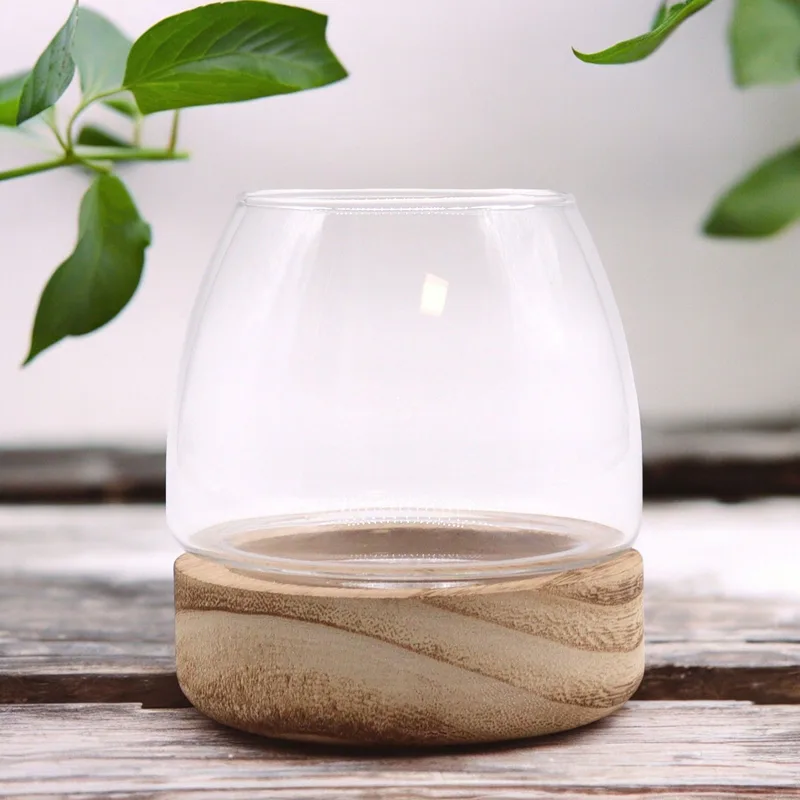 Mini Terarium on Naturale Tung Legno - 10x10cm — foto 1