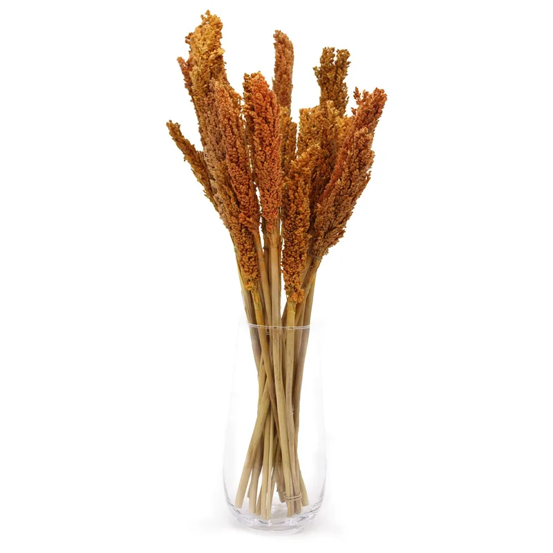 Cantal Grass Bunch Arancia — foto 1