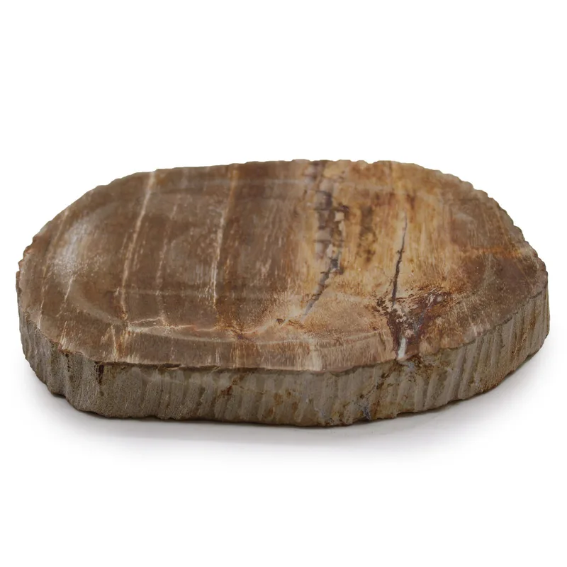 Petrified Legno Brown Sapone Dish