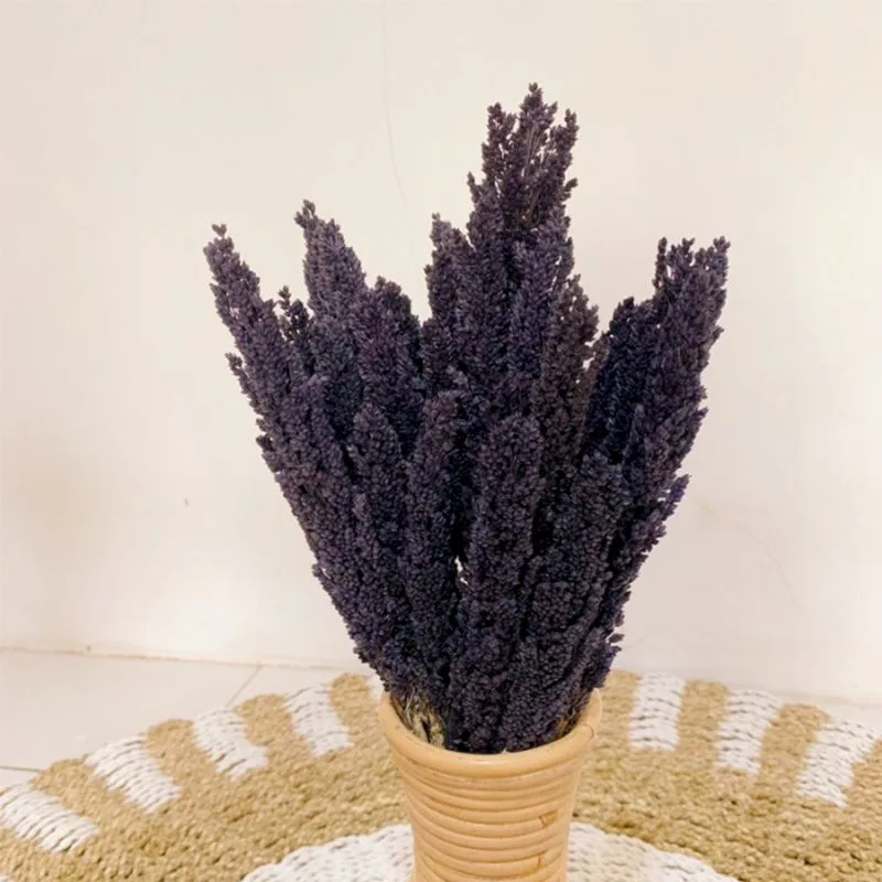 Cantal Grass Bunch Nero — foto 3