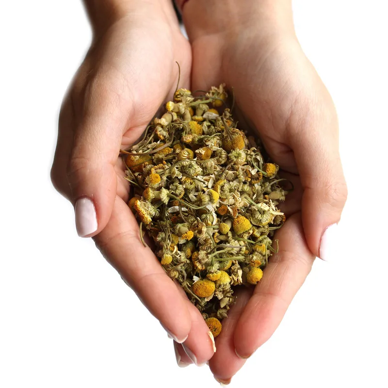 Chamomile Heads — foto 3