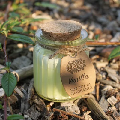 Vaniglia Soy Pot of Profumo Candela — foto 1