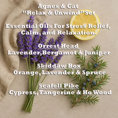 Agnes & Cat - Relax & Unwind Set Of 3 Essenziale Olio Blends — foto 3