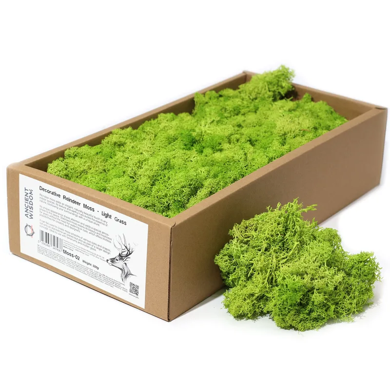 Quality Decoration Reindeer Moss Light Grass 635g Scatola
