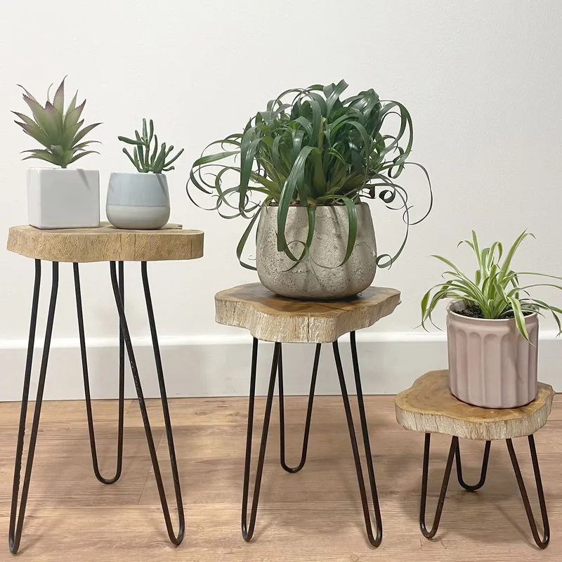 Set of 3 Gamell Legno Plant Stands Whitewash