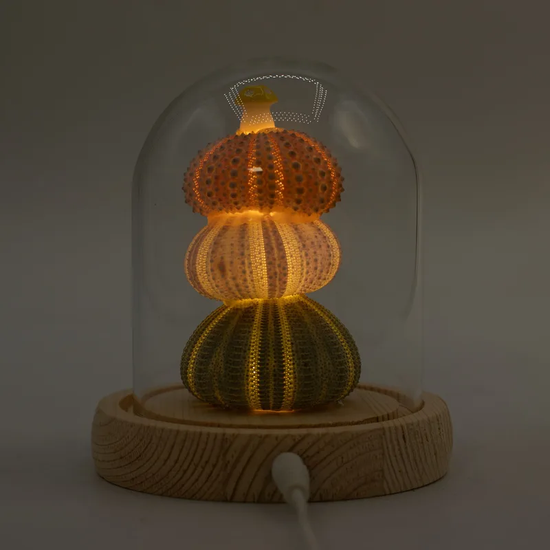 Floral Glow Garden Dome 3 Sea Urchins LED USB — foto 5