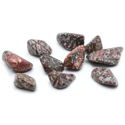 Pack of 24 L Tumble Stone - Leopard Pelle Jasper L