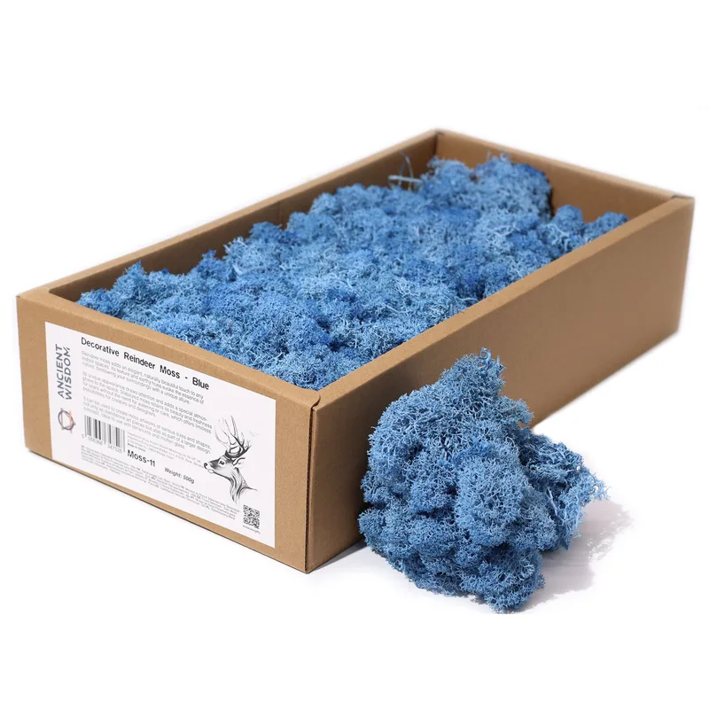 Quality Decoration Reindeer Moss Blu 635g Scatola