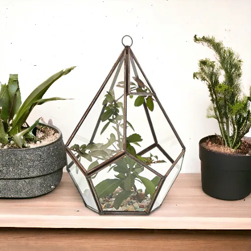 Glass Terrarium Large Pyramid — foto 4