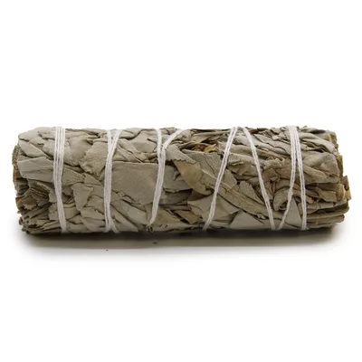 Smudge Stick - Bianco Sage 10cm — foto 1