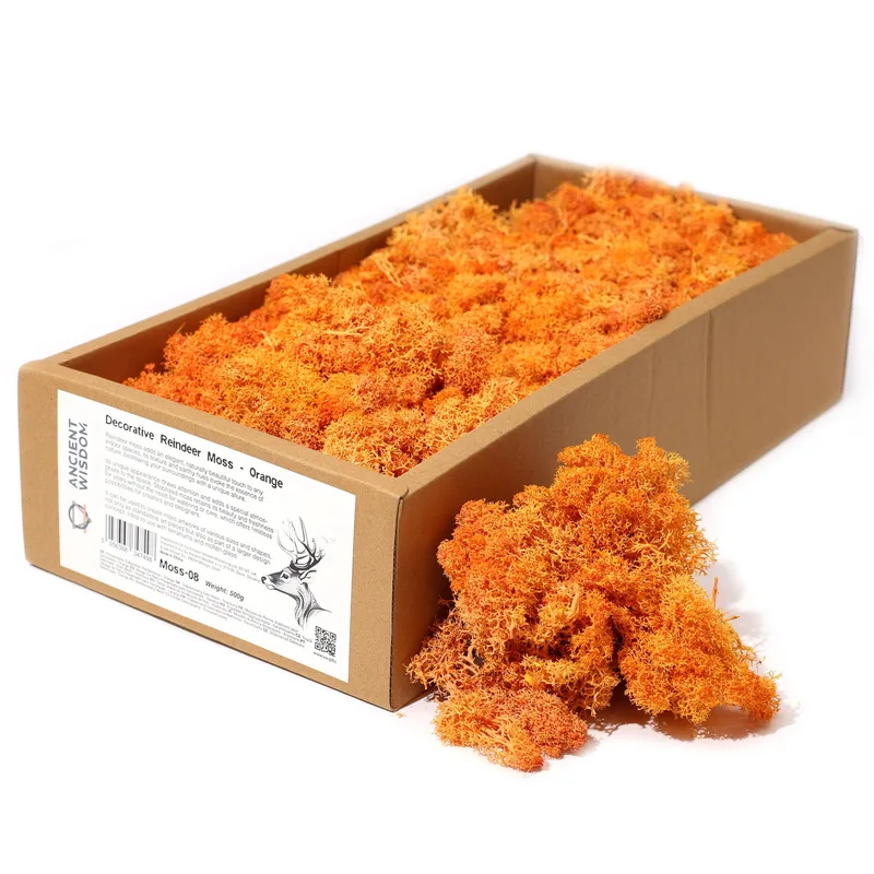 Quality Decoration Reindeer Moss Arancia 635g Scatola
