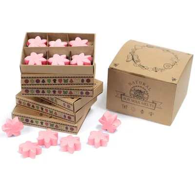 Set Regalo di 6 Cera Melts – Magnolià Giapponese