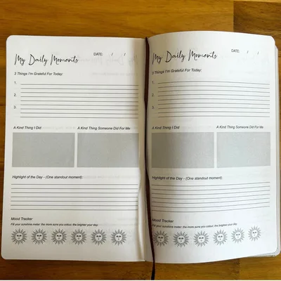 Diario Grigiastro di Gratitudine con Rivestimento Oro – 120 Pagine – I Miei Giorni Sono Pieni di Sole