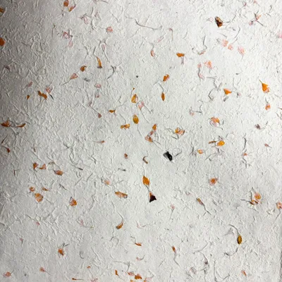 Lokta Craft / Wrapping Paper Marigold