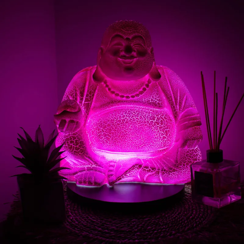 Laughing Buddha Lamp Dragonfruit - Round Stand — foto 1