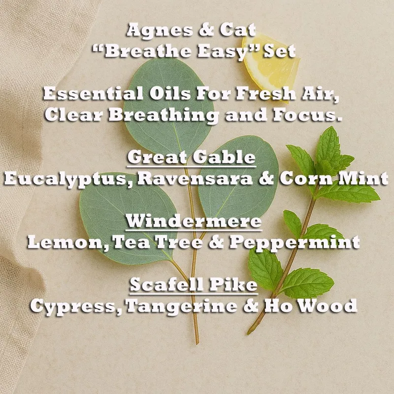 Agnes & Cat – Set "Breathe Easy" di 3 oli essenziali per miscele personalizzate — foto 3