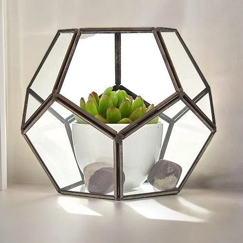 Glass Terrarium Large Octagon
