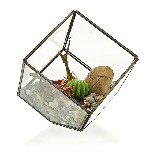 Glass Terrarium Cube on Corner — foto 1