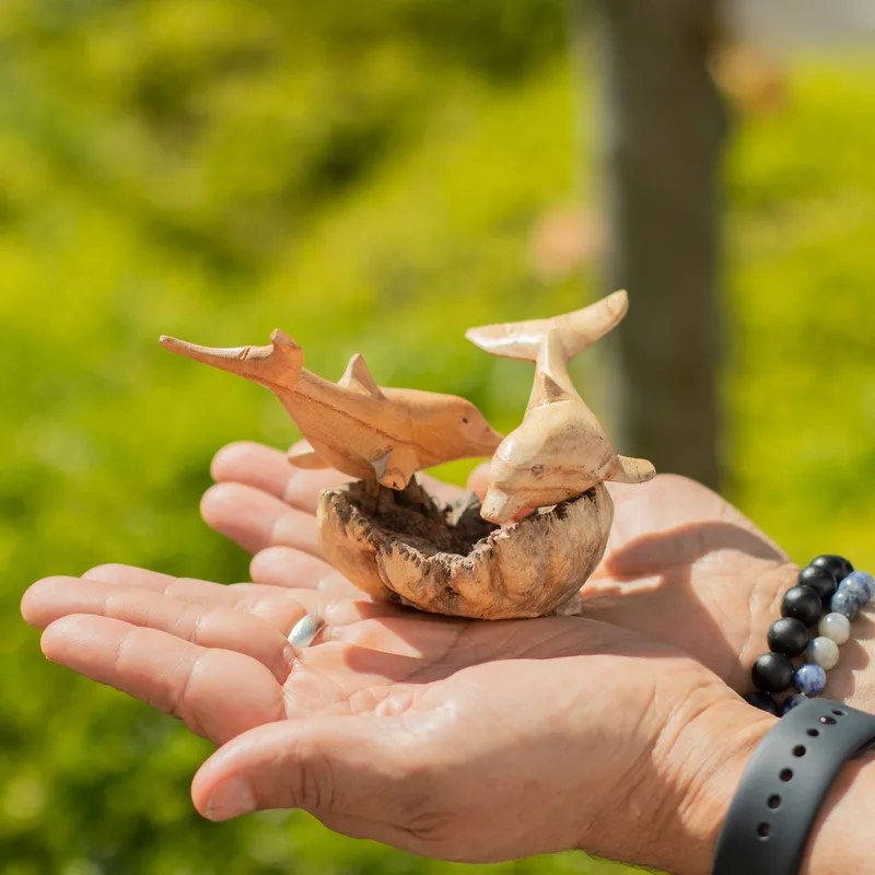 Fatto a mano Parasite Legno Art Carving Dolphins in Play — foto 2