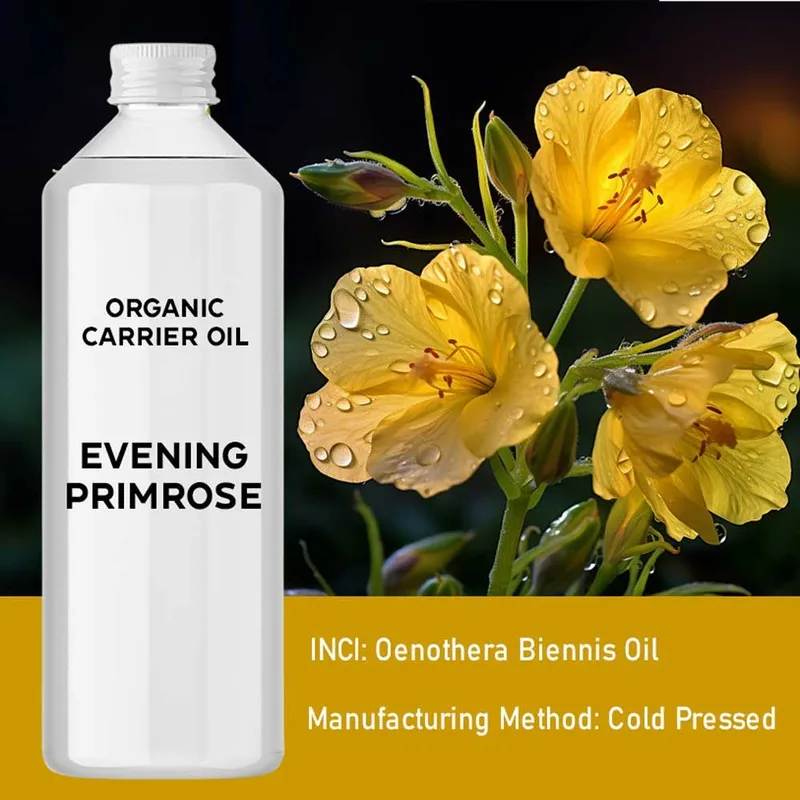 Organic Evening Primrose Olio 1 Litre