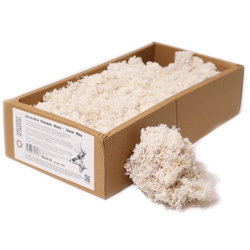 Quality Decoration Reindeer Moss Snow Bianco 635g Scatola