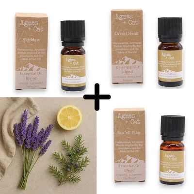 Agnes & Cat - Relax & Unwind Set Of 3 Essenziale Olio Blends — foto 4