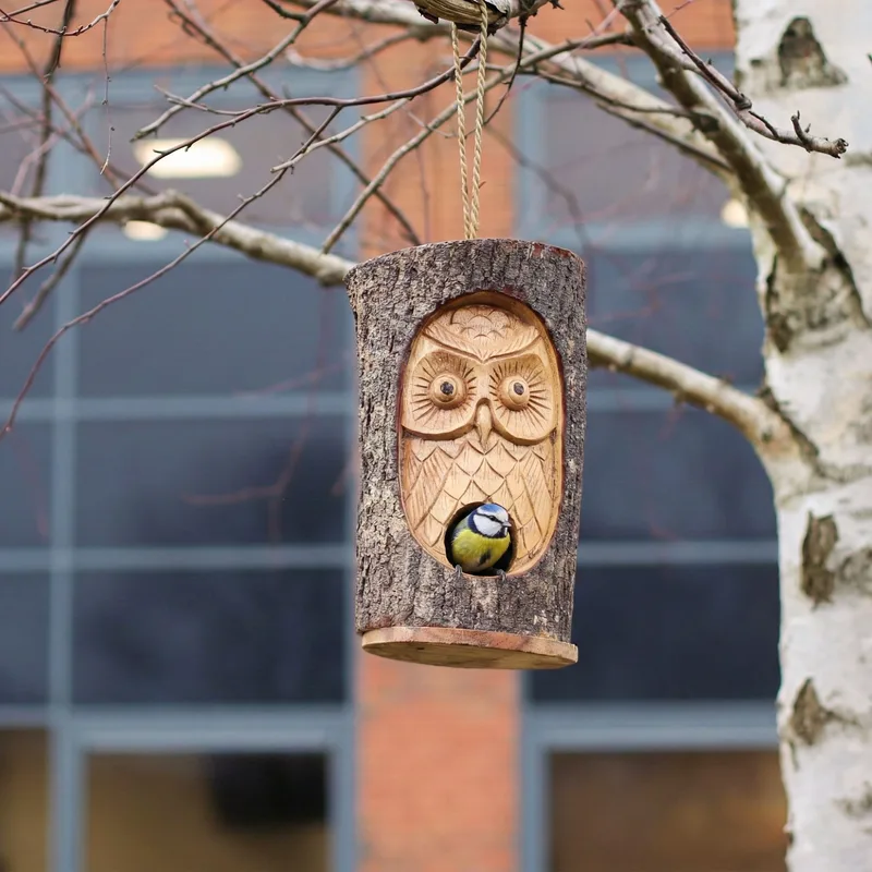 Albero Trunk Face - Bird House - Wise Owl — foto 3