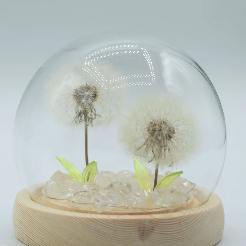 Floral Glow Garden Dome 2 Dandelions LED USB — foto 2