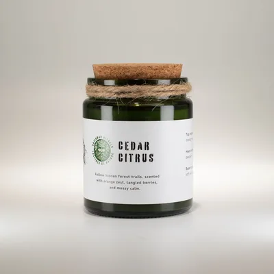 Greenman Woodwick Soy Candela Forest Resin — foto 1