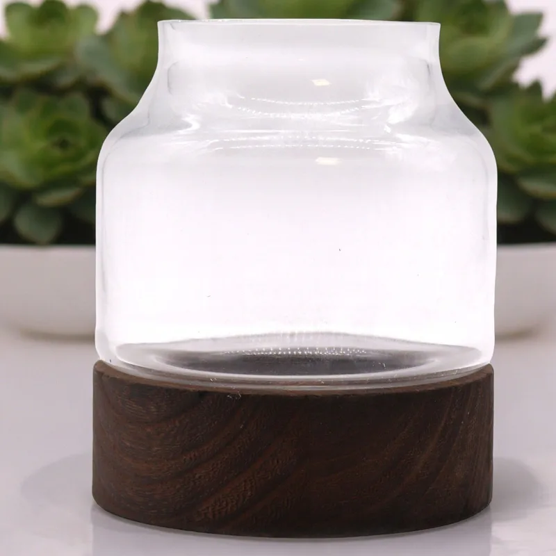 Medium Shaped Terarium on Dark Tung Legno 16x18cm — foto 1