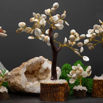 Lrg Gomati Chakra Circle Stone Trees - — foto 1