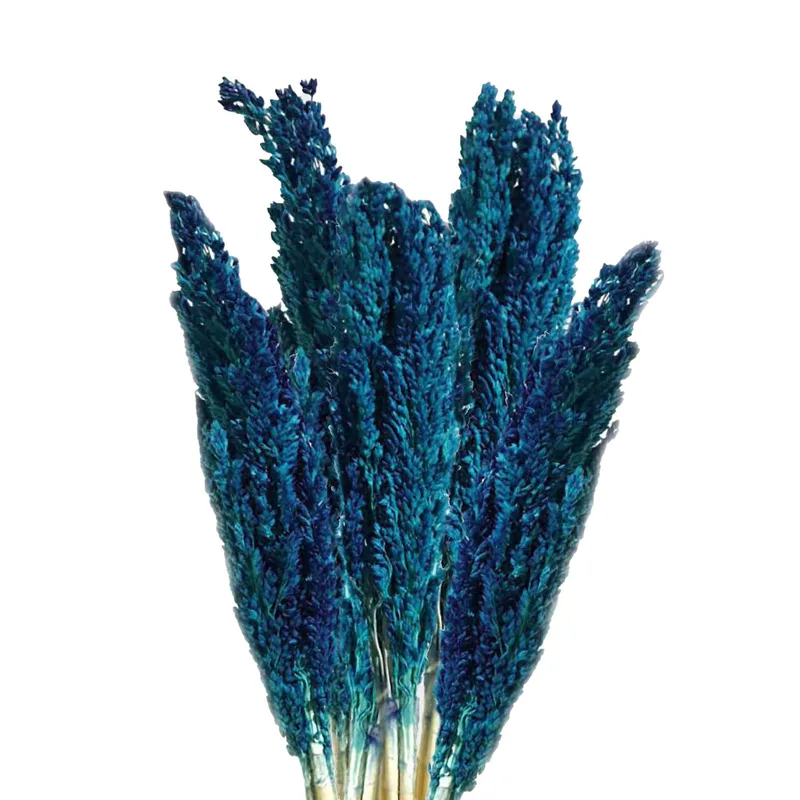 Cantal Grass Bunch Blu — foto 1