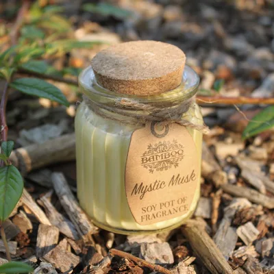 Mystic Muschio Soy Pot of Profumo Candela — foto 1