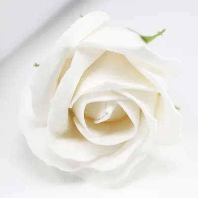 Fiore di Sapone per Creazione – Med Rosa – Bianco — foto 2
