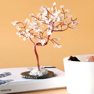Lrg Gemstone Albero Rock Quartz on Nero Agate Base