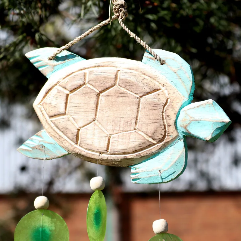Aqua Turtle Carving and Copis Drop — foto 2