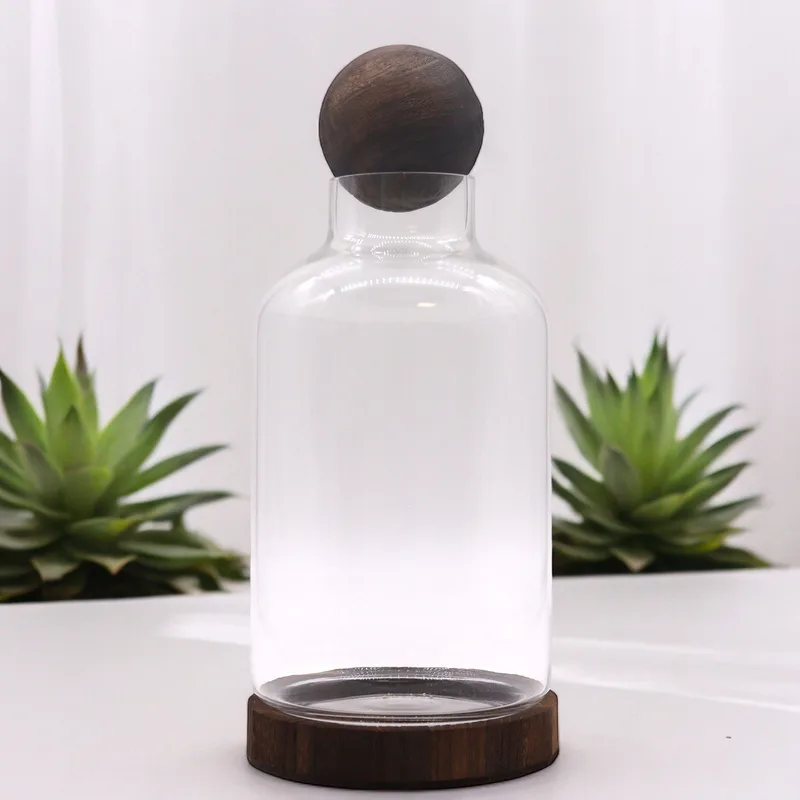 Large Ball Top Terarium on Dark Tung Legno 16x32cm — foto 2