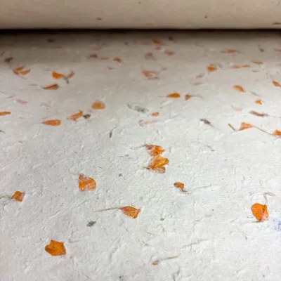 Lokta Craft / Wrapping Paper Marigold — foto 5