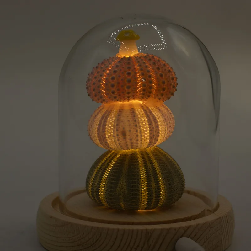 Floral Glow Garden Dome 3 Sea Urchins LED USB — foto 6