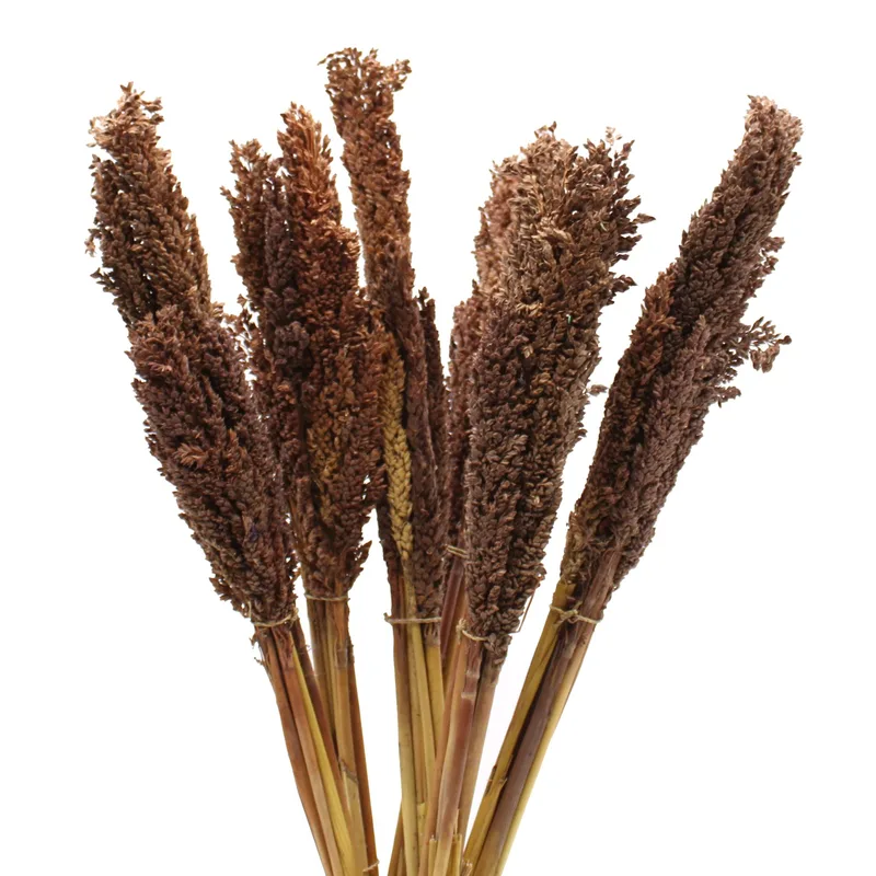 Cantal Grass Bunch Chocolate — foto 4