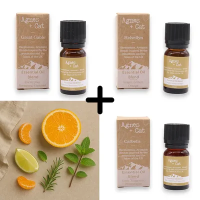 Agnes & Cat - Energy Boost Set Of 3 Essenziale Olio Blends — foto 4