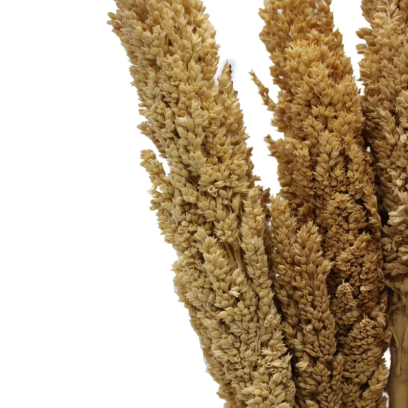 Cantal Grass Bunch Naturale — foto 1