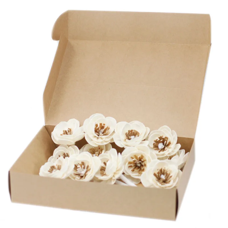 Naturale Diffusore Fiori - Small Poppy on String