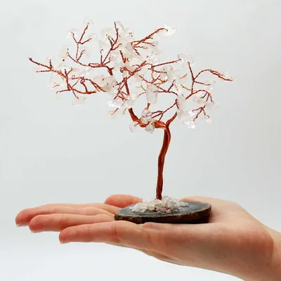 Lrg Gemstone Albero Rock Quartz on Nero Agate Base — foto 1
