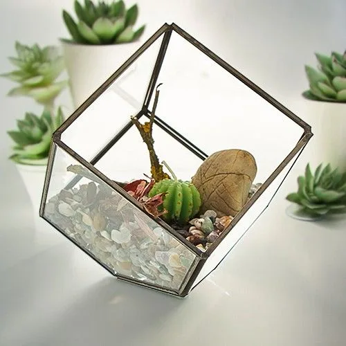 Glass Terrarium Cube on Corner