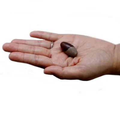 One Inch Lingam - 3 Stones — foto 2