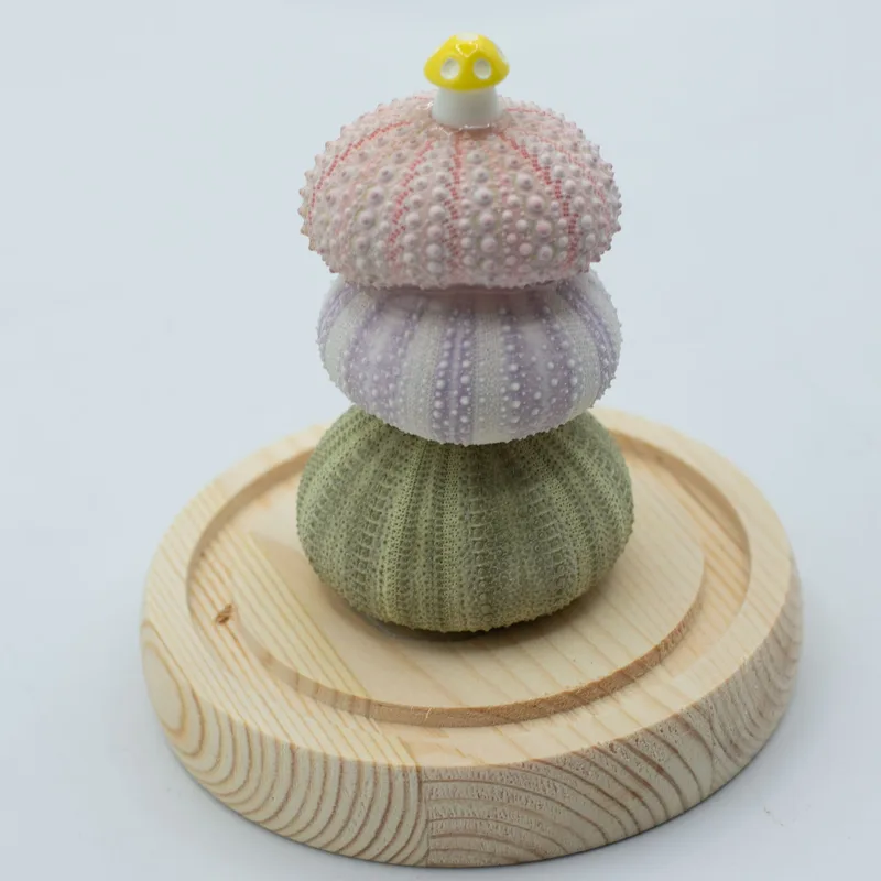 Floral Glow Garden Dome 3 Sea Urchins LED USB — foto 3