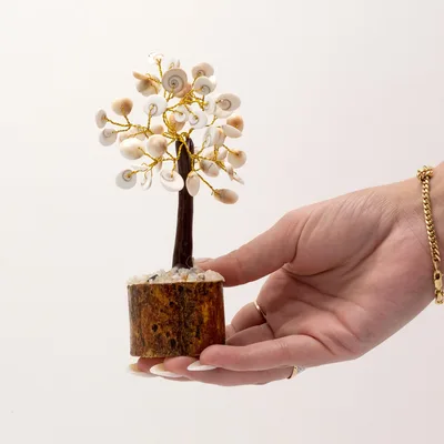 Med Gomati Chakra Circle Stone Trees - (45 stones) — foto 1