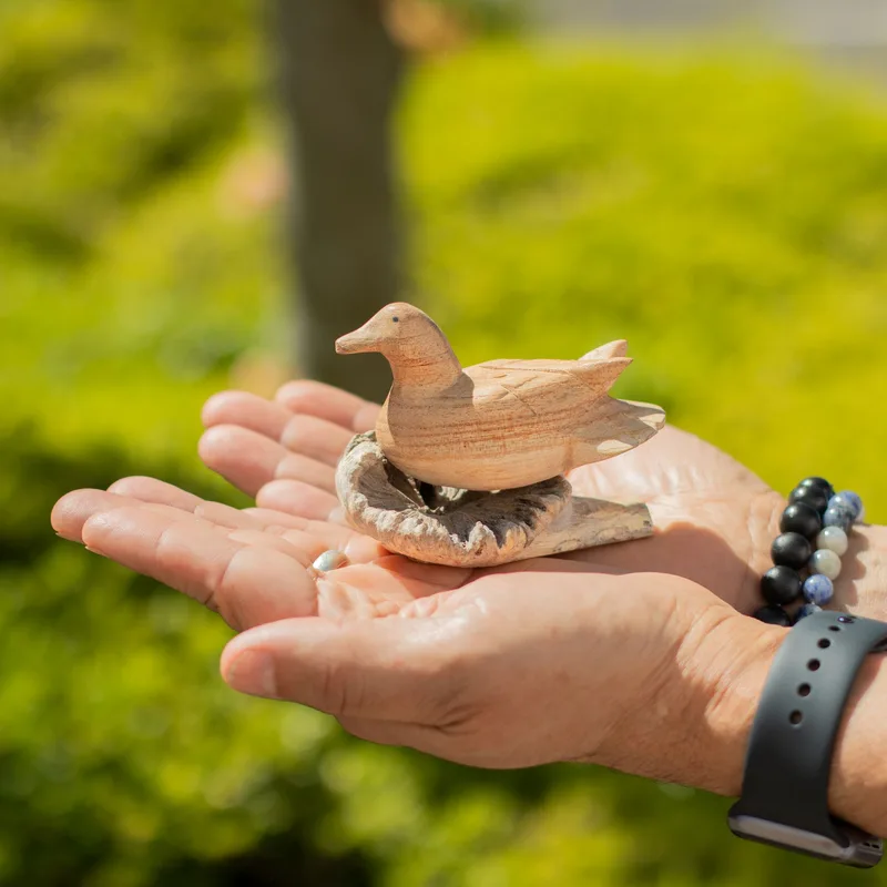 Fatto a mano Parasite Legno Art Carving - Selvatico Duck Resting — foto 3